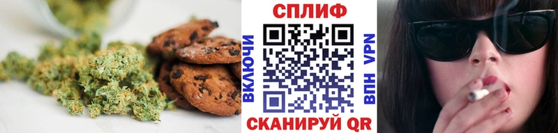 где найти наркотики  Городовиковск  Еда ТГК марихуана 