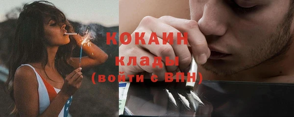 крисы Верея