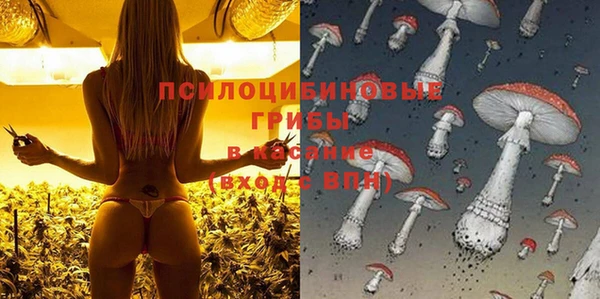 шишки Бронницы