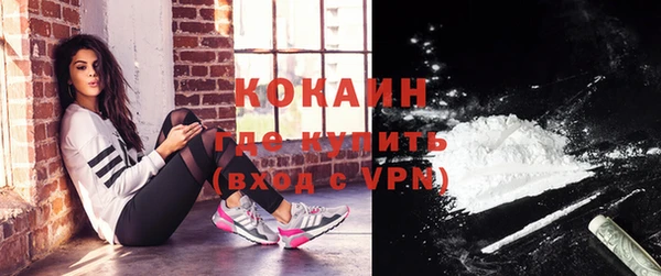 крисы Верея
