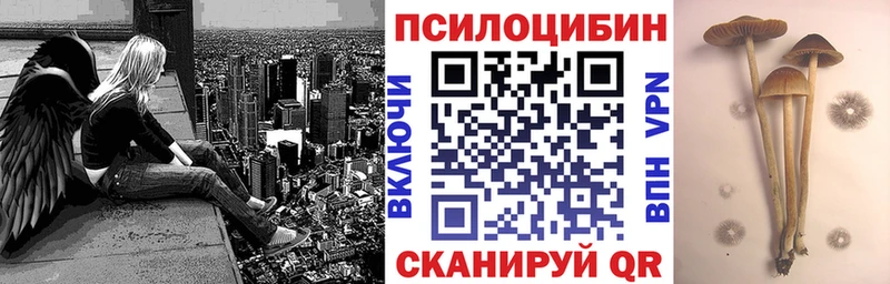 дарк нет телеграм  Городовиковск  Псилоцибиновые грибы Magic Shrooms 